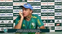 Palmeiras segue preparação para as quatro últimas rodadas do Brasileirão