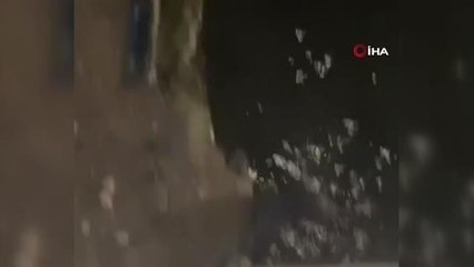 Küçükçekmece Gölü'nde su samurları görüntülendi