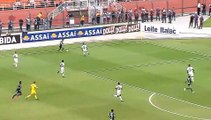 Melhores momentos da vitória do Palmeiras sobre o São Paulo