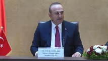 Çavuşoğlu: Türkiye-Cezayir iş birliği, bölge için yararlı olacaktır