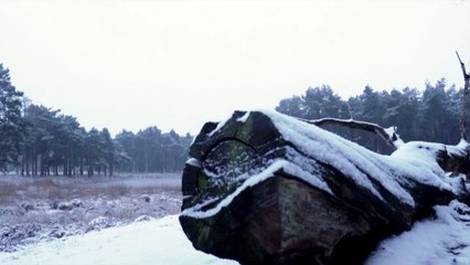 Frohe Weihnachten wünscht der Fernsehfunk Berlin