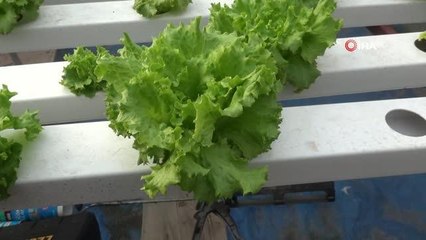 Ziraat Fakültesi gibi lise: Hem öğreniyorlar hem de kazanıyorlar