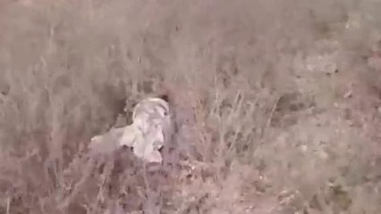 छिंदवाड़ा: रेलवे ट्रैक किनारे मिला शव, क्षेत्र में फैली सनसनी