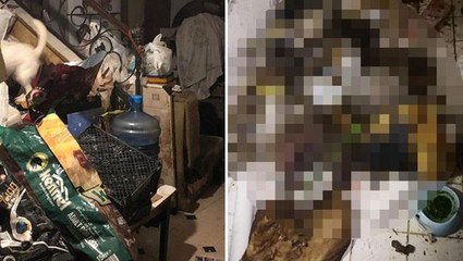 Gizemli evden gelen ihbara giden yetkililer, içeri girdiklerinde korkunç bir manzarayla karşılaştı