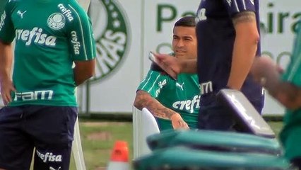 Confira imagens do treino do Palmeiras