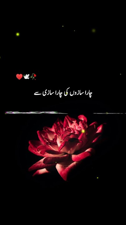 Sad Poetry Lines By Jhon Elia - Famous Poetry Lines - Best Poetry Lines #foryou #viralvideos #trending #hitshairy #hitpoetry #lovepoetry #Sadpoetrylines