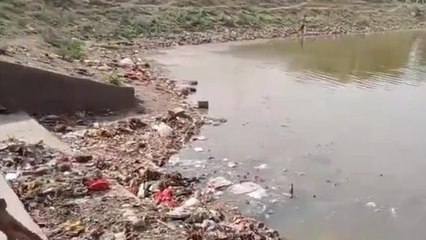 सीधी: बदहाली के आंसू बहा रहा गोपालदास बंधा,जिम्मेदार अधिकारी नही दे रहे ध्यान