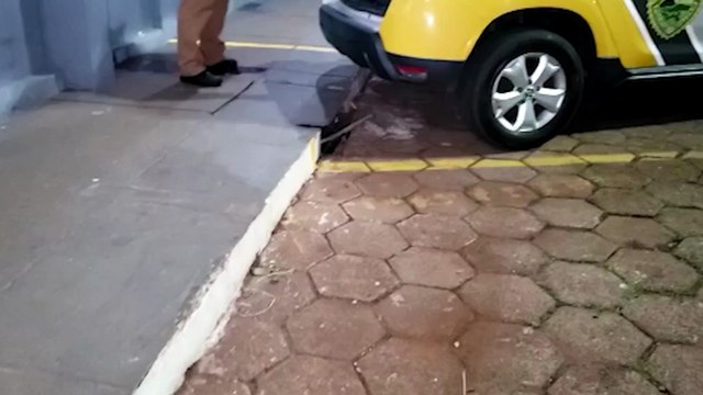 Homem é preso após dirigir embriagado e realizar cavalinho de pau