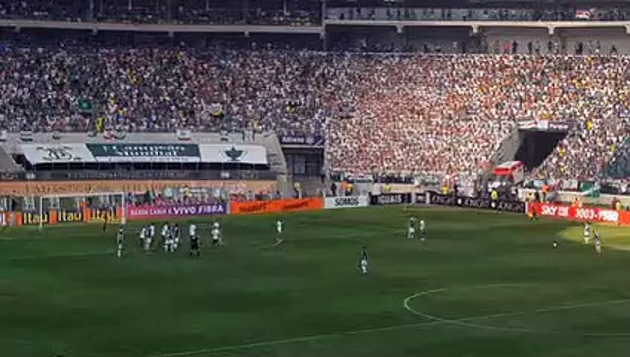 Rogério Lugó - São Paulo - SP