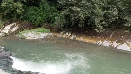 Arhavi Pilarget Vadisinde Hes Projelerine Karşı Verilen Hukuk Mücadelesi 3. Kez Kazanıldı