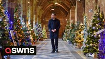 Hundreds flock to a historic cathedral for its annual Christmas tree festival featuring more than 80 festive firs