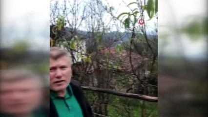 Kar yağışı beklenirken şeftali ağacı çiçek açtı