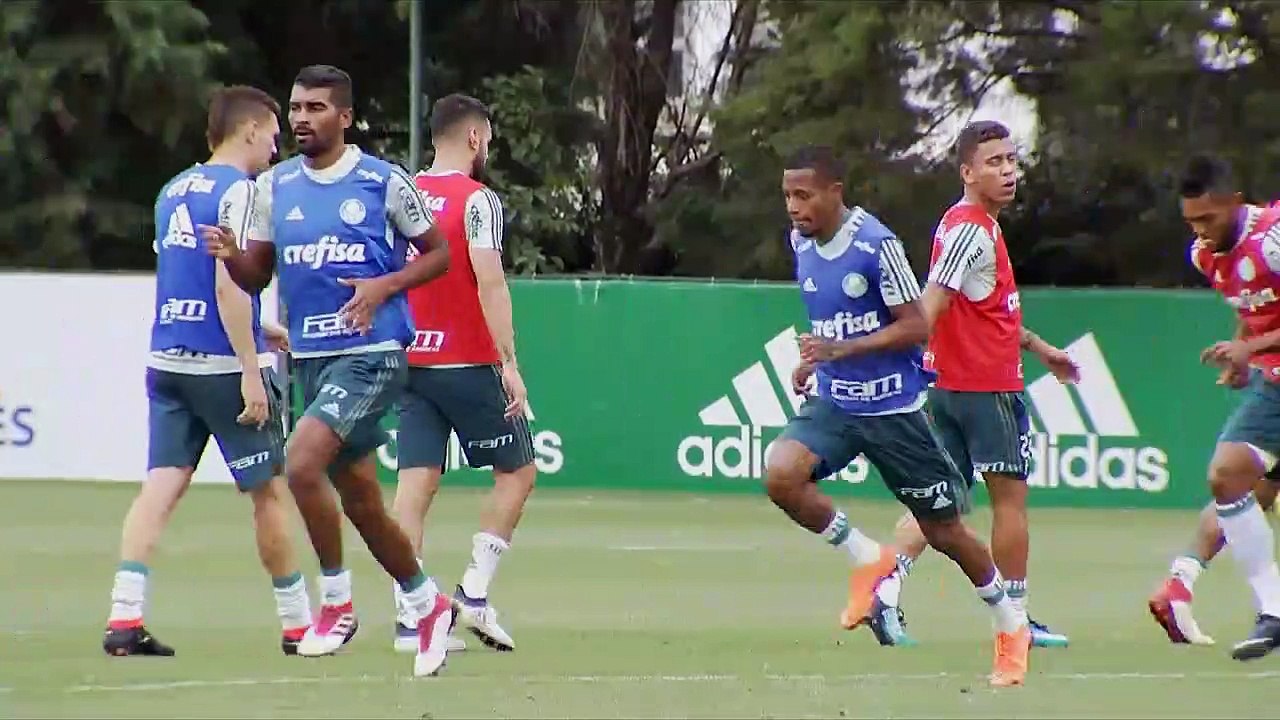 Imagens do treino do Palmeiras que se prepara para enfrentar o Novorizontino