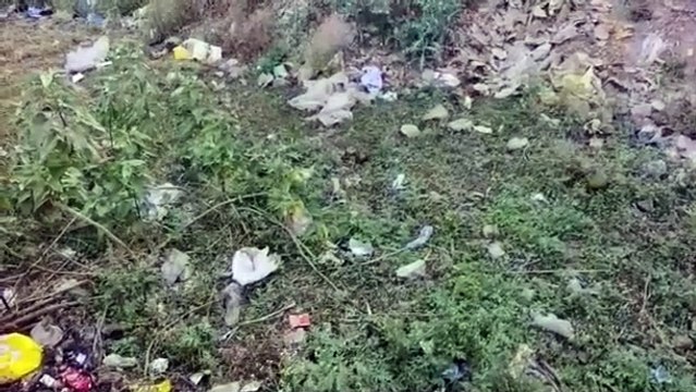 कचरे के ढेर में नवजात के अवशेष से फैली सनसनी