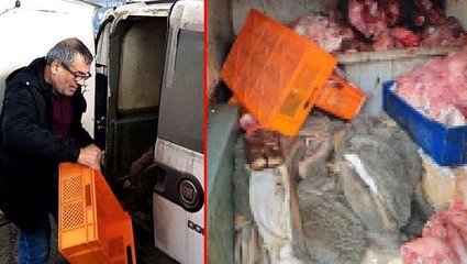 Vatandaşa satacaklardı! Yüzlerce kilo kaçak sakatat ele geçirildi