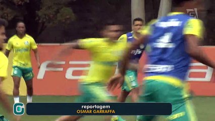 Massa palmeirense agita embarque do Verdão para Belo Horizonte