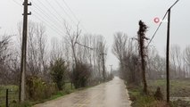Çan'da fırtına nedeniyle ağaç dalı yüksek gerilim hattı üstüne devrildi