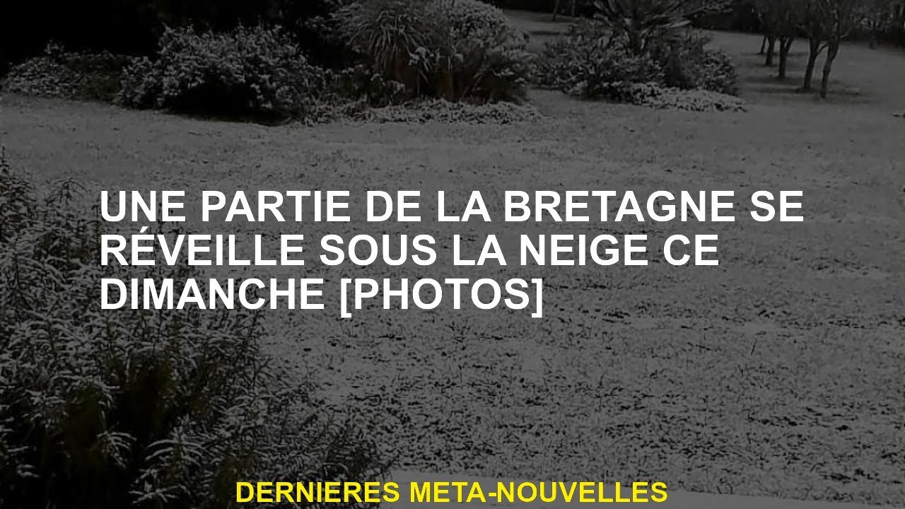 Une partie de Brittany se réveille sous la neige ce dimanche [photos]