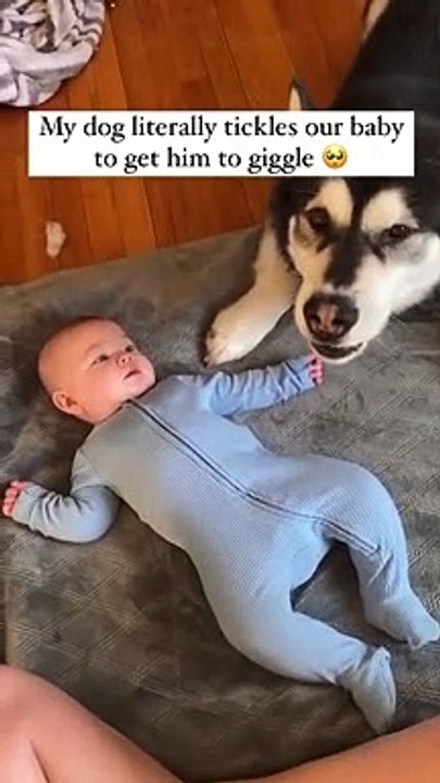 This is too cute, dogs really are the best