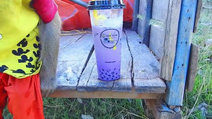 Please Have A Nice Time, SokYaa Drinking Energy Juice At Countryside