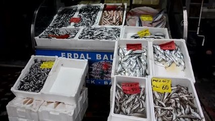 Batı Karadeniz'de hamsi azlığı fiyatları yükseltti