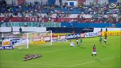 Palmeiras segue preparação visando o Paulistão 2014