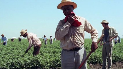 La Dernière Chance Bande-annonce (EN)
