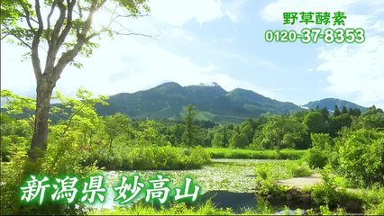 傑作ミステリー『マトリの女　厚生労働省　麻薬取締官』