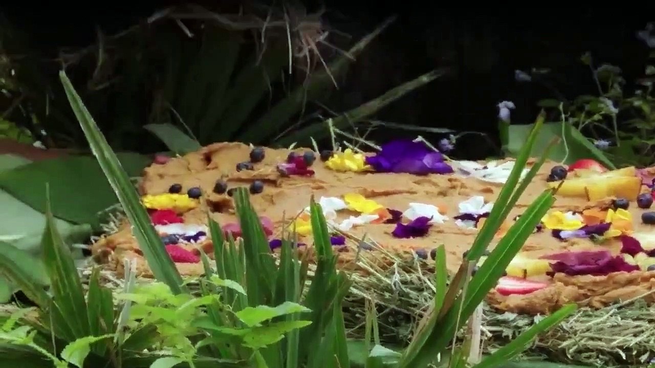 Die MagieDisney's Animal Kingdom Staffel 1 Folge 2 HD Deutsch