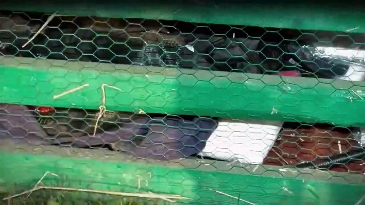 Living a Nightmare Staffel 1 Folge 1 HD Deutsch