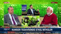 Kanser tedavisinde etkili bitkiler