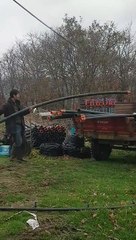 Suami Turki ku merapikan selang-selang air karena musim dingin tidak dibutuhkannya