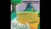 Anneke Konings ‎– Feelings 1972 (Netherlands, Psychedelic/Folk Rock)