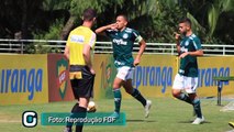 Base do Palmeiras brilha na Copa-RS e na Seleção Brasileira