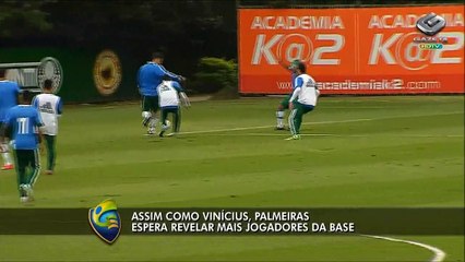 Erasmo Damiani fala sobre as categorias de base do Palmeiras