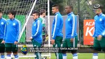 “Inchado”, Palmeiras pode perder Maurício Ramos para Arábia