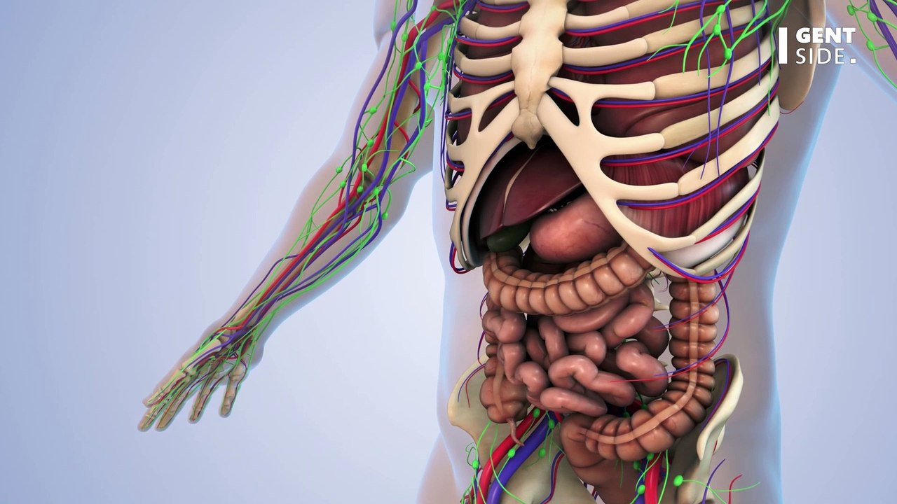 Überraschende Erkenntnis: Geschirrspüler kann krank machen