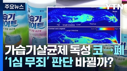 [이슈인사이드] "가습기 살균제 성분 폐까지" 첫 입증...'1심 무죄' 판단 바뀔까? / YTN