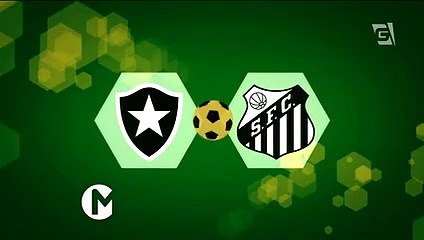 Assista o gols da vitória do Botafogo contra o Santos no Maracanã