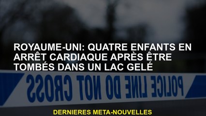 Royaume-Uni: quatre enfants en arrêt cardiaque après être tombé dans un lac gelé