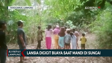Lansia Digigit Buaya Saat Mandi di Sungai