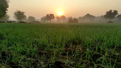 राजस्थान में 24 घंटे में गिरेगा पारा, बढ़ेगी सर्दी