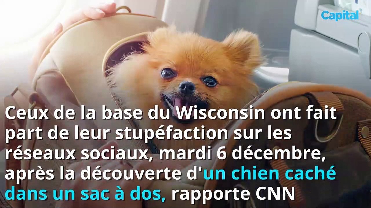 Ce qu'a découvert la sécurité d'un aéroport à l'intérieur d'un bagage à main...