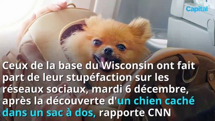 Ce qu'a découvert la sécurité d'un aéroport à l'intérieur d'un bagage à main...