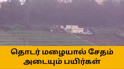 உதகை: விளை நிலங்களுக்குள் புகுந்த மழை நீர்-விவசாயிகள் கவலை!