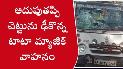 ఇచ్ఛాపురం: ఘోర రోడ్డు ప్రమాదం... చెట్టును ఢీకొట్టిన బడి పిల్లల వ్యాను