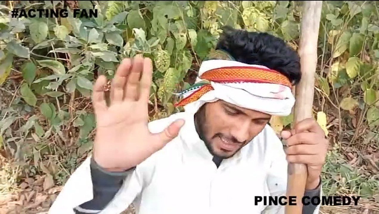 BAHIRA SUPERSTAR _ PINCE _