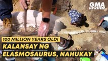 100 million years old! Kalansay ng elasmosaurus, nahukay | GMA News Feed