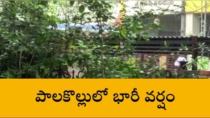 పశ్చిమ గోదావరి: పాలకొల్లులో దంచికొట్టిన వర్షం