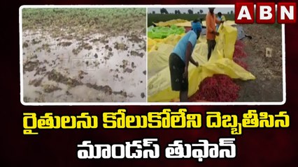 రైతులను కోలుకోలేని దెబ్బతీసిన మాండస్ తుఫాన్ | Kurnool | Cyclone Mandous | ABN Telugu